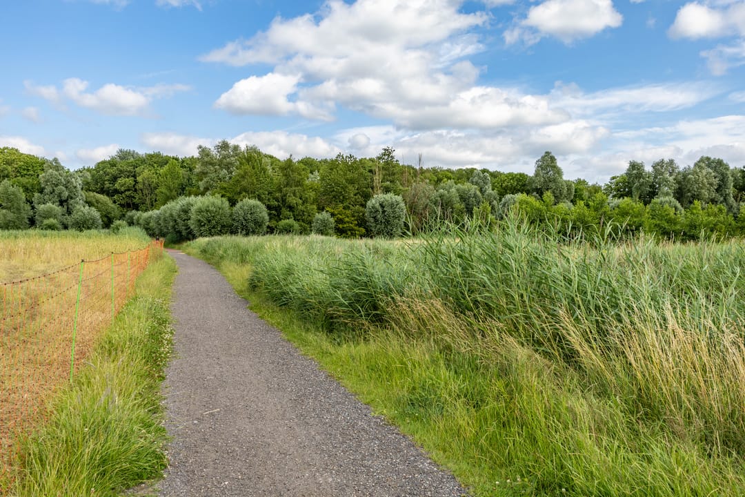 Photo 41 of Hoendiep 116