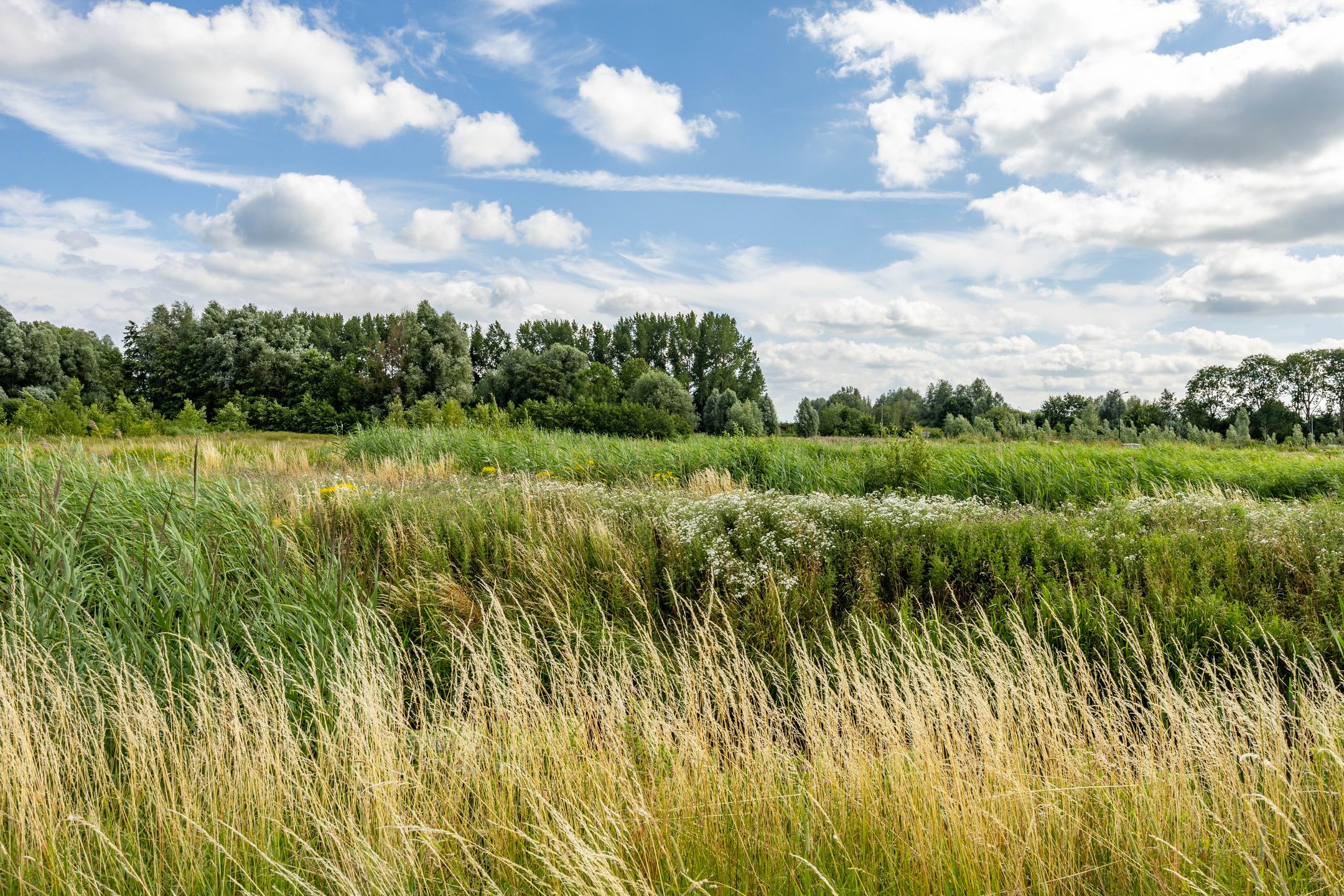 Photo 42 of Hoendiep 116