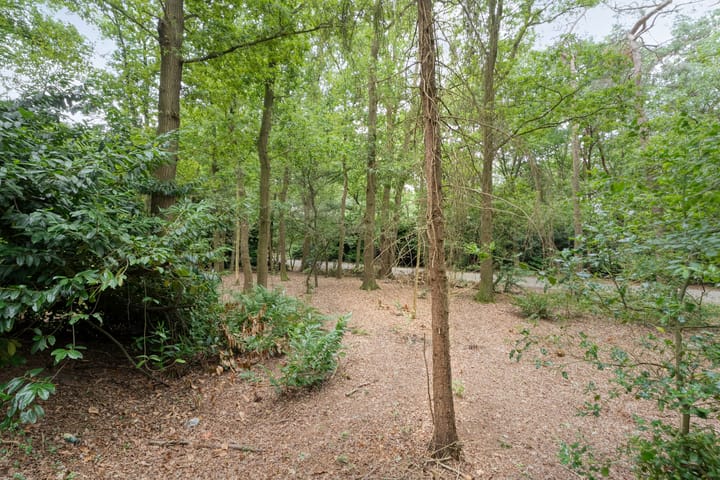 Photo 27 of Twentseweg 164