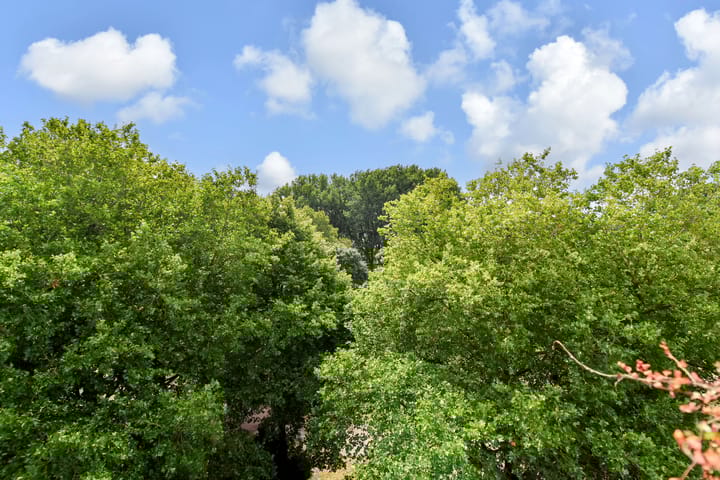 Foto 29 van Kadoelerbos 68