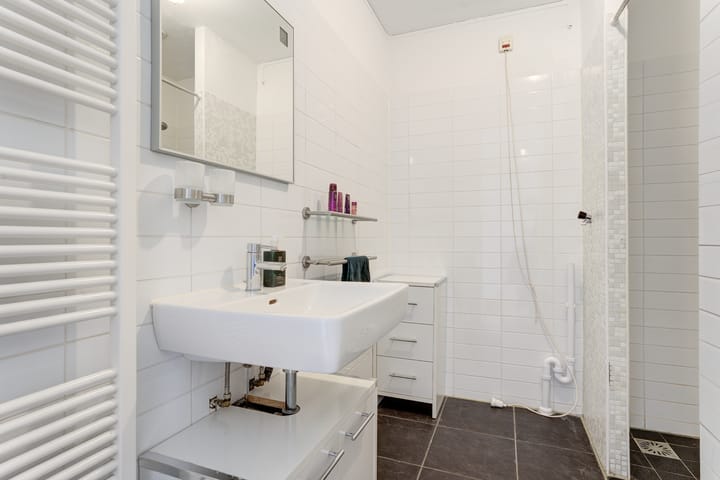 Foto 12 van Voltstraat 44-09