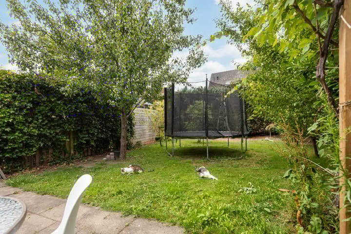 Foto 27 van De Pergola 54