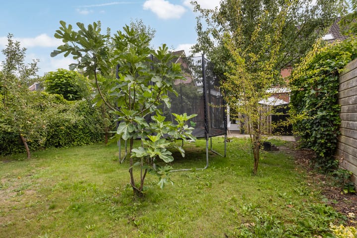 Foto 31 van De Pergola 54