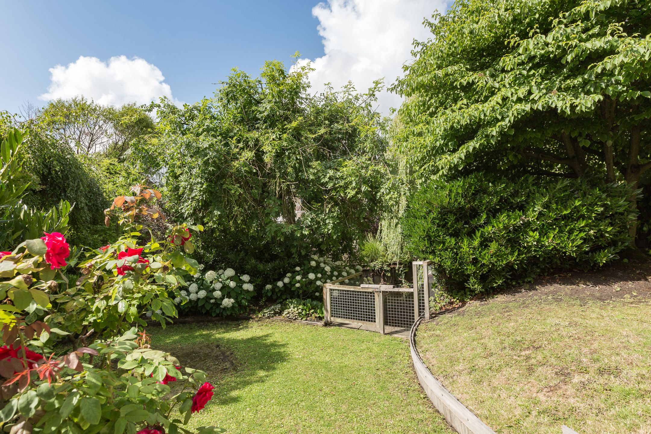 Foto 42 van Blankenweg 14