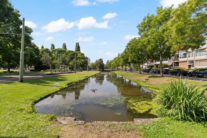 Foto 24 van Meidoornsingel 97-B