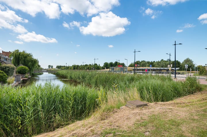 Foto 54 van Rosa Spierstraat 147