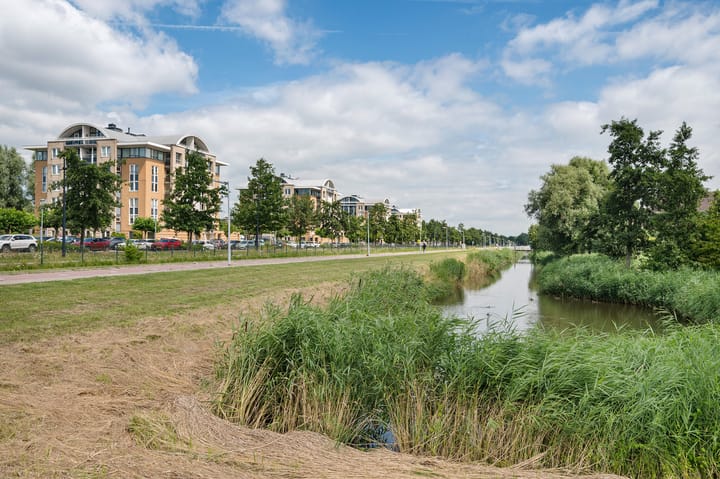 Foto 55 van Rosa Spierstraat 147