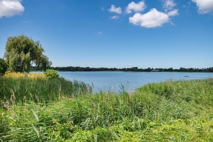 Foto 58 van Rosa Spierstraat 147