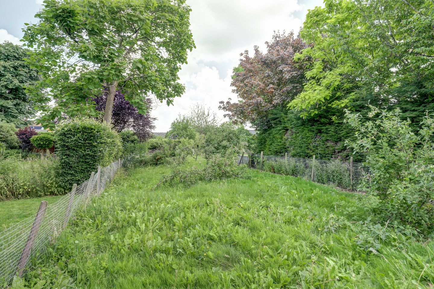 Foto 4 van Achterstraat 9