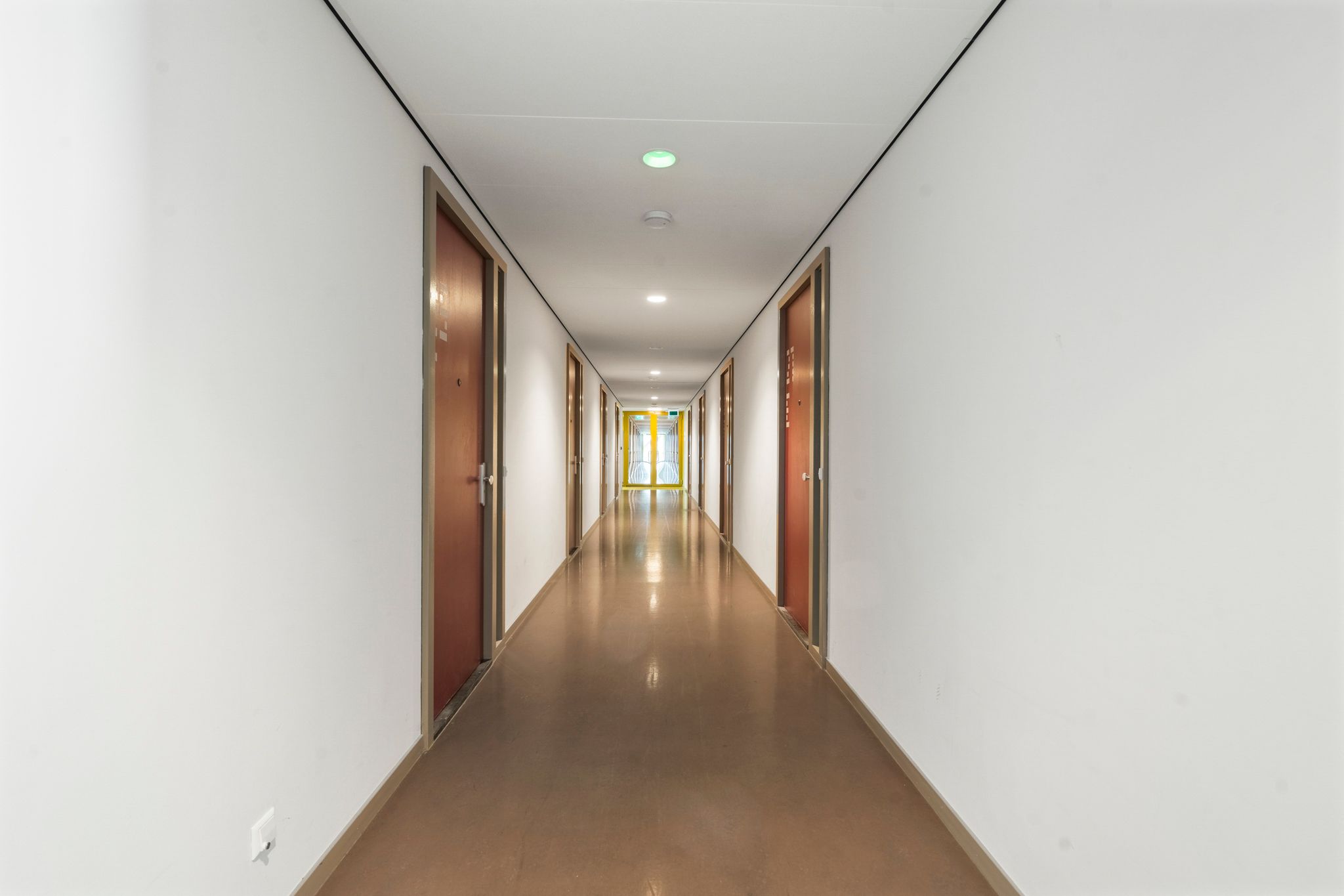 Foto 21 van Bos en Lommerplantsoen 27-D