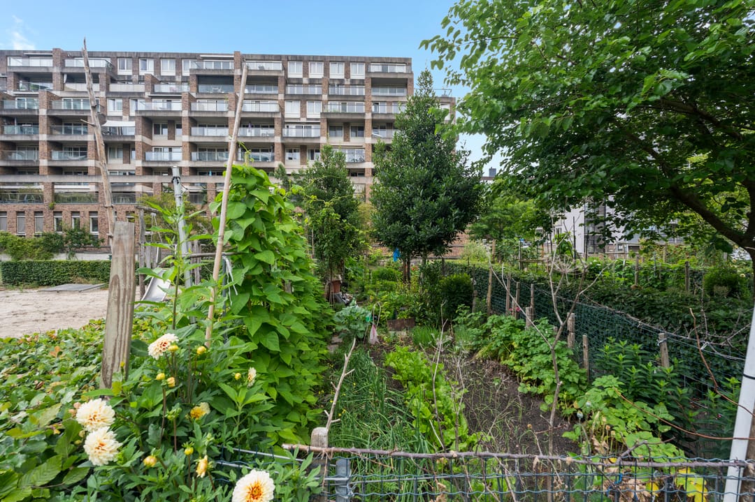 Foto 23 van Bos en Lommerplantsoen 27-D