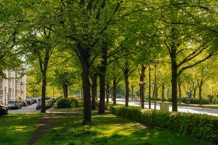 Foto 38 van Kribbestraat 57-2