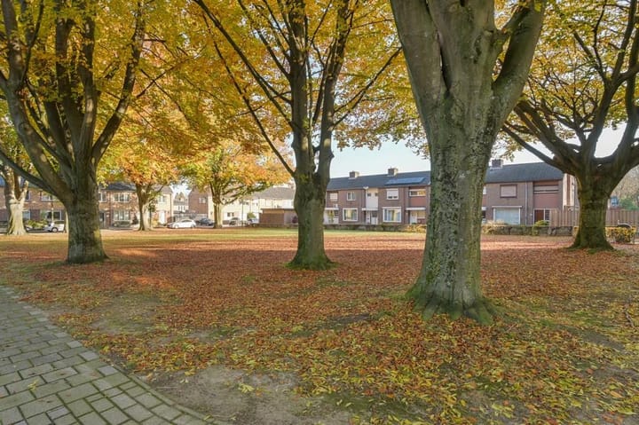 Foto 25 van Adamsstraat 3