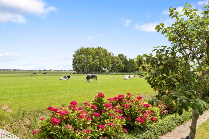 Foto 39 van Wogmeer 12