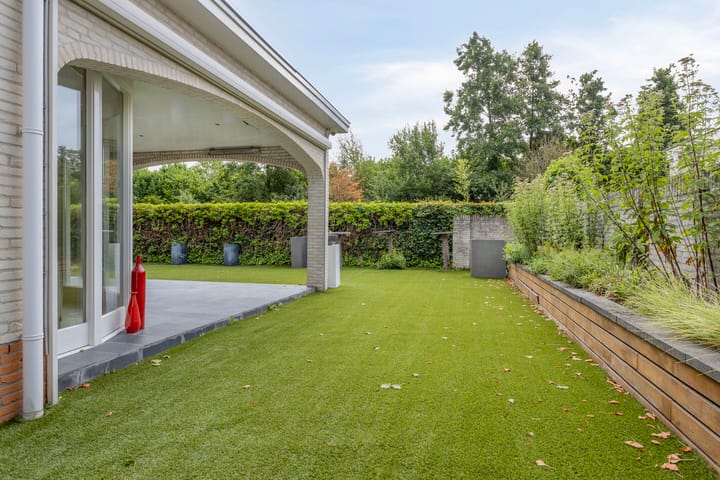 Foto 50 van Tongelreep 41