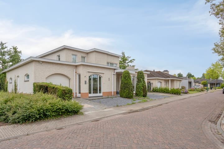 Foto 53 van Tongelreep 41