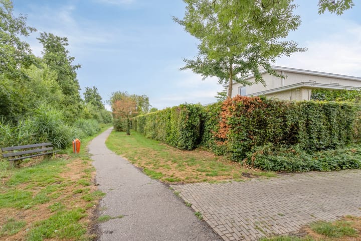 Foto 55 van Tongelreep 41