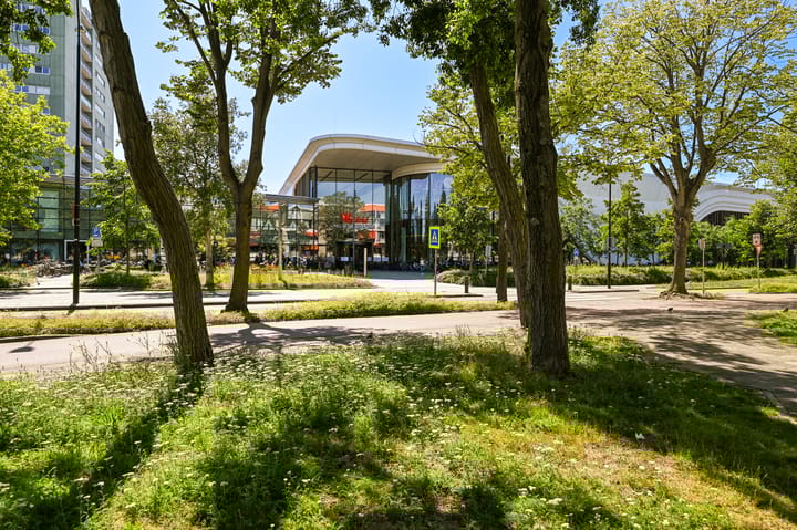 Foto 19 van Burgemeester Keijzerlaan 219