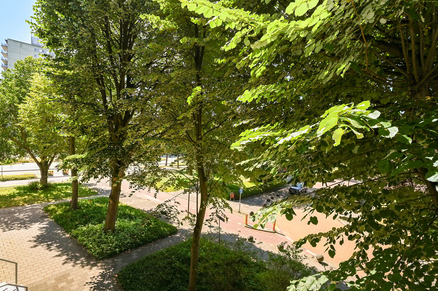 Foto 20 van Burgemeester Keijzerlaan 219