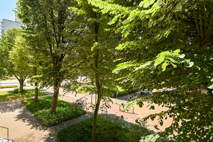 Foto 20 van Burgemeester Keijzerlaan 219