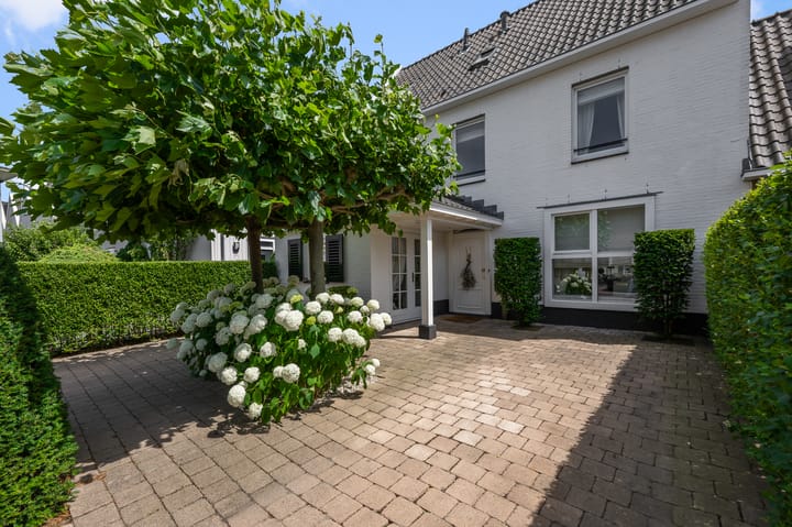 Photo 50 of Paardenakker 25