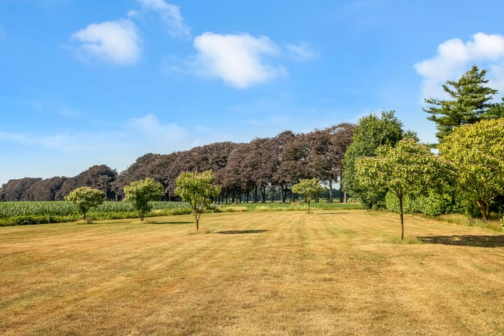 Foto 38 van Hilbergsedreef 4