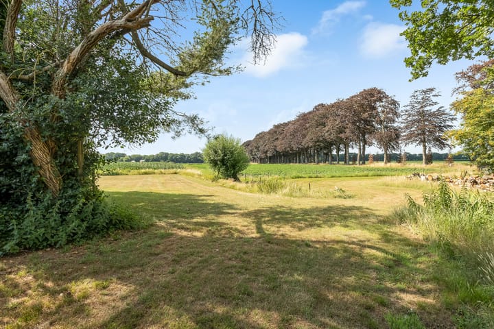 Foto 40 van Hilbergsedreef 4