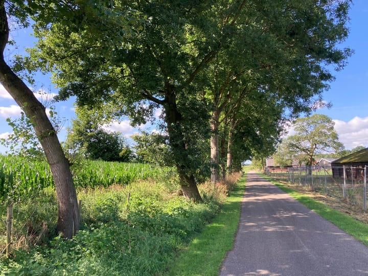 Photo 13 of Geersweg 3-A