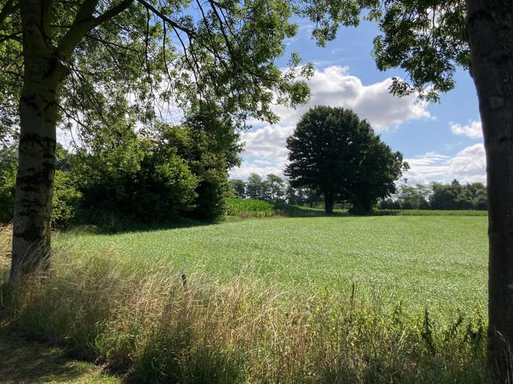 Photo 16 of Geersweg 3-A