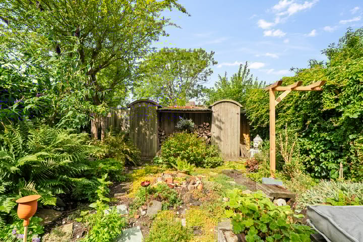 Foto 6 van Vogelzand 3222