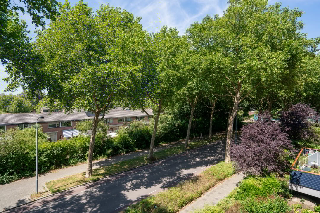 Photo 16 of Doornenburg 125