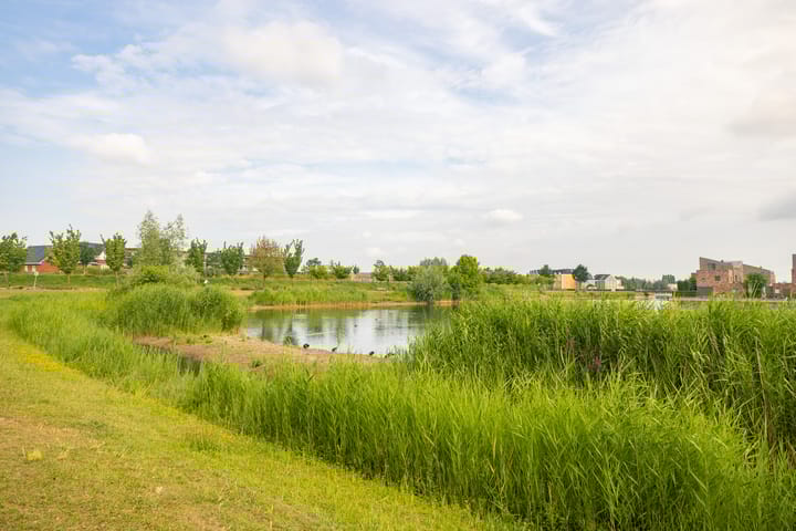 Foto 21 van Rimpelmos 13-C