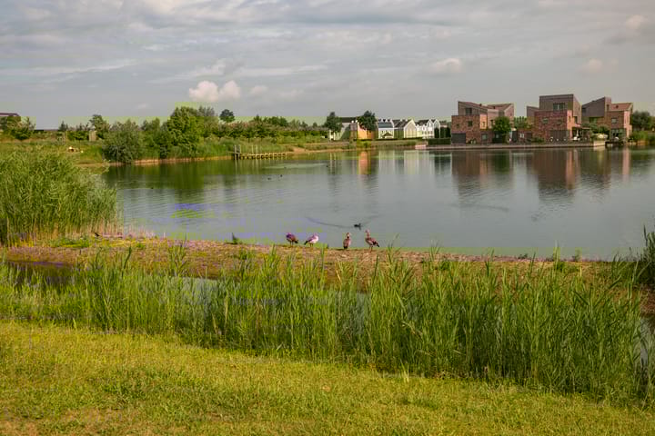 Foto 23 van Rimpelmos 13-C