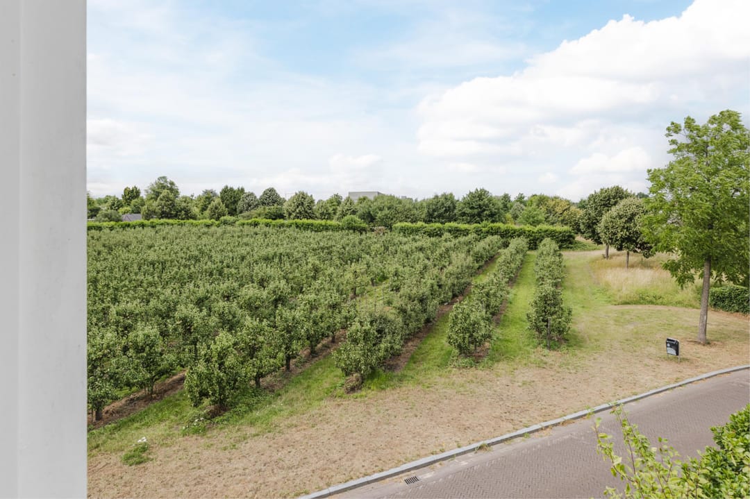 Foto 52 van Gerrit Achterberglaan 2