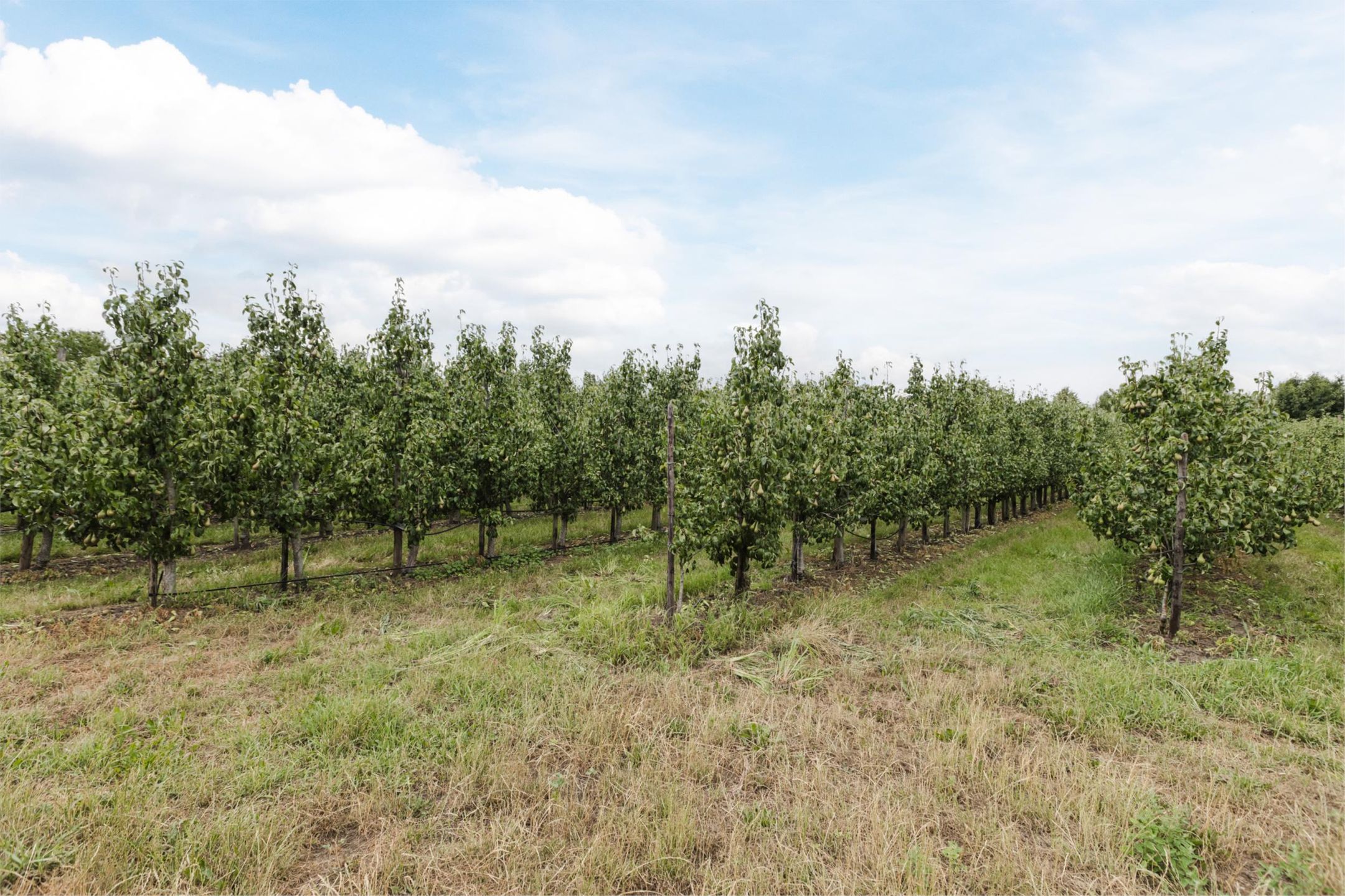 Foto 60 van Gerrit Achterberglaan 2