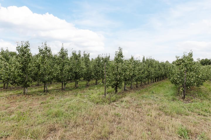 Foto 60 van Gerrit Achterberglaan 2