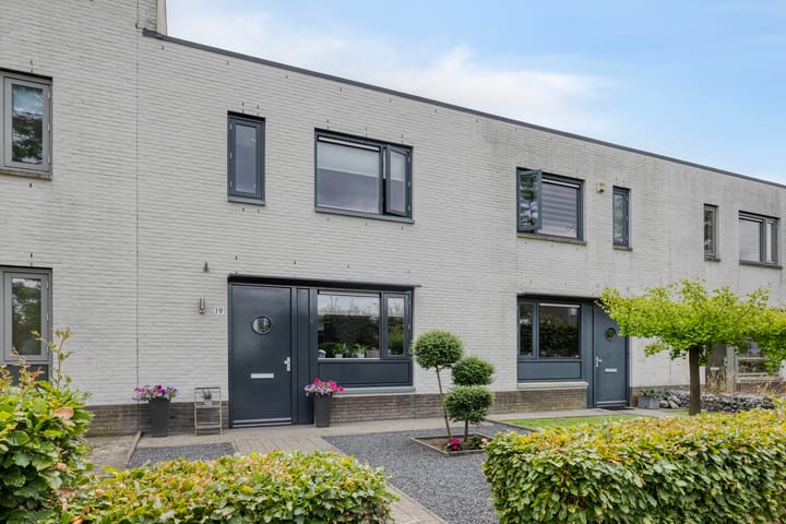 Foto 1 van Zandloopkever 19