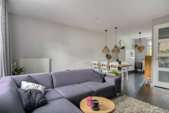 Foto 3 van Zandloopkever 19