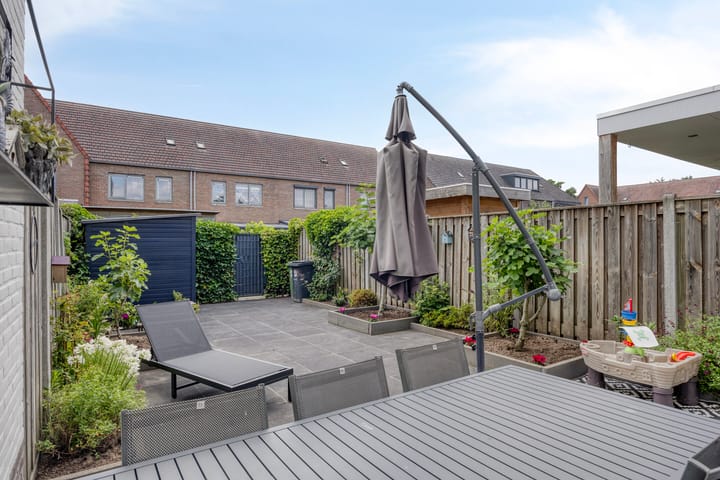 Foto 5 van Zandloopkever 19