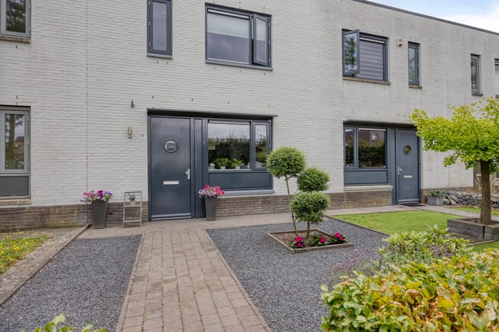 Foto 6 van Zandloopkever 19