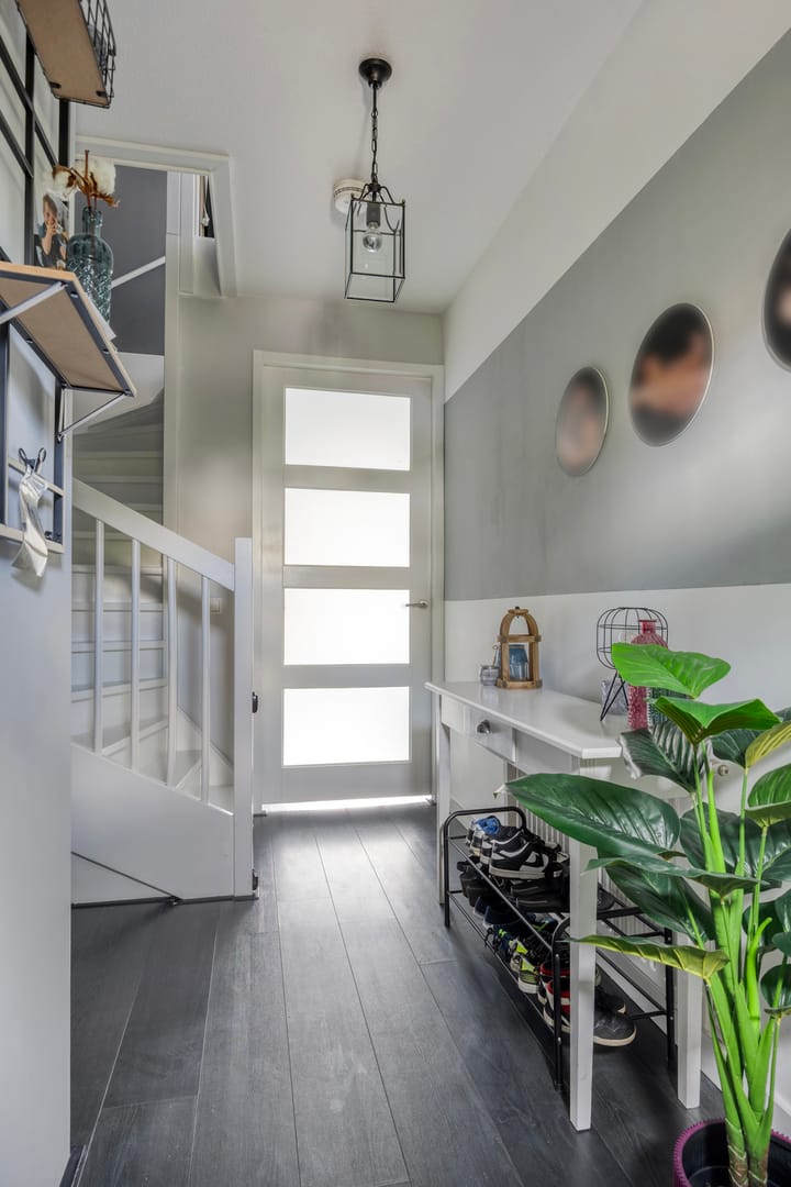 Foto 7 van Zandloopkever 19