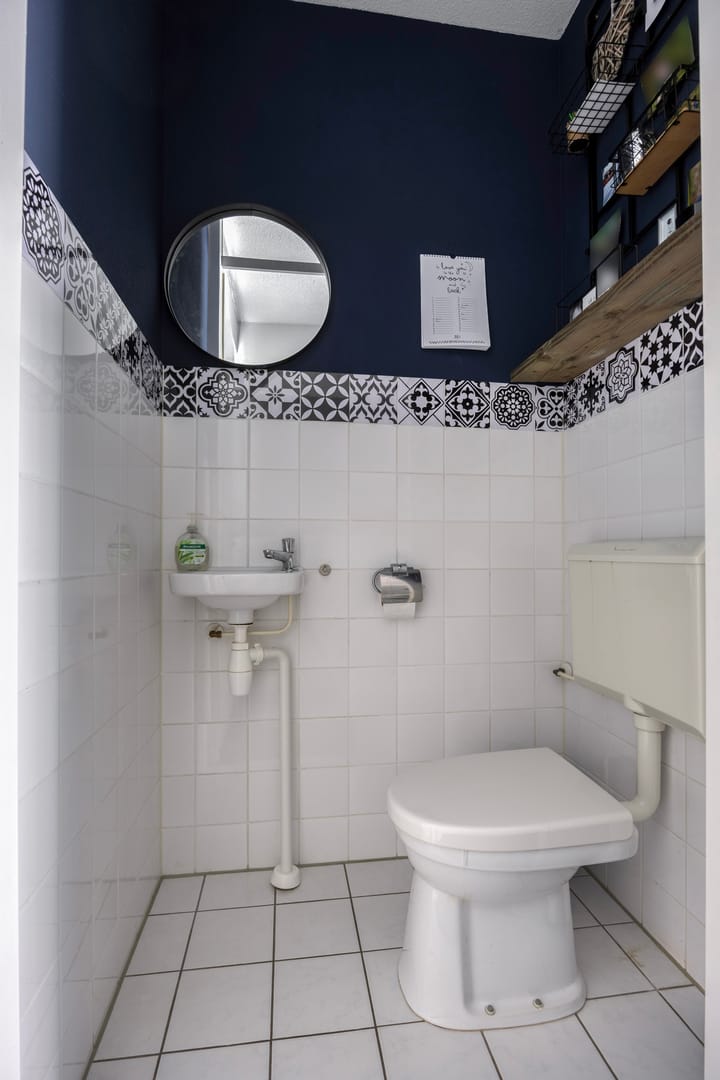 Foto 8 van Zandloopkever 19