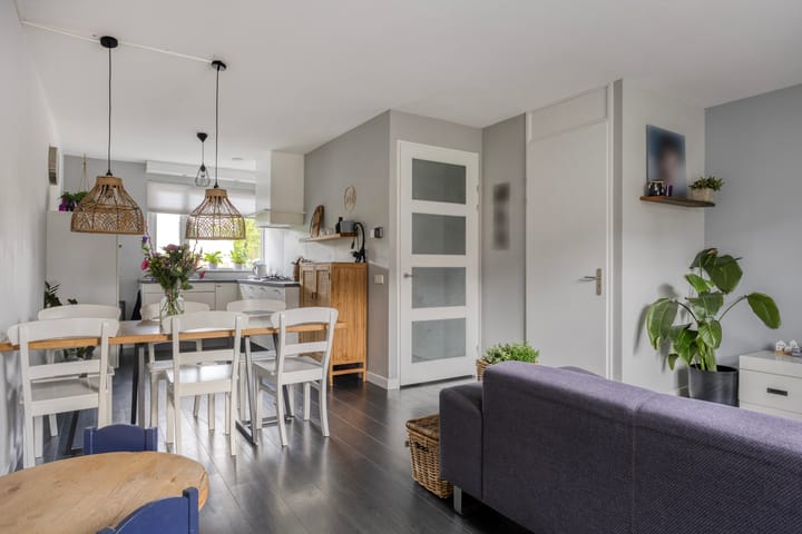 Foto 10 van Zandloopkever 19