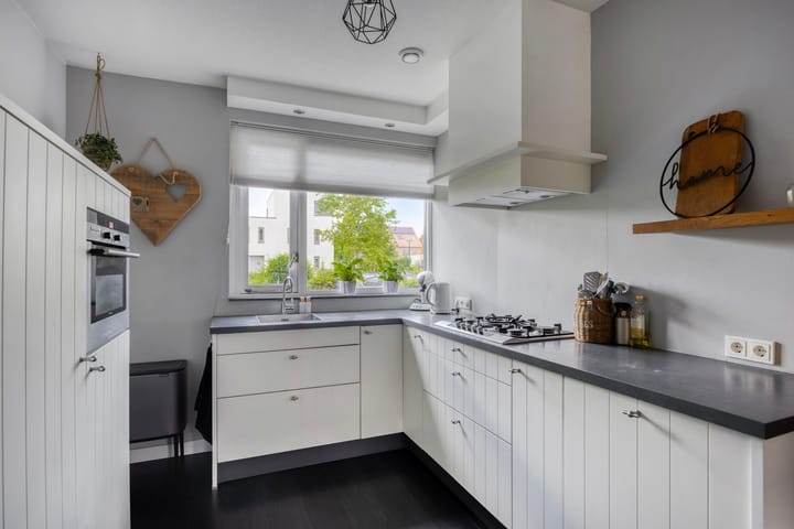 Foto 11 van Zandloopkever 19