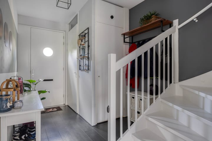 Foto 13 van Zandloopkever 19