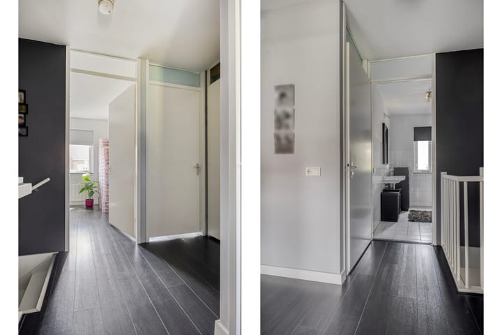 Foto 14 van Zandloopkever 19