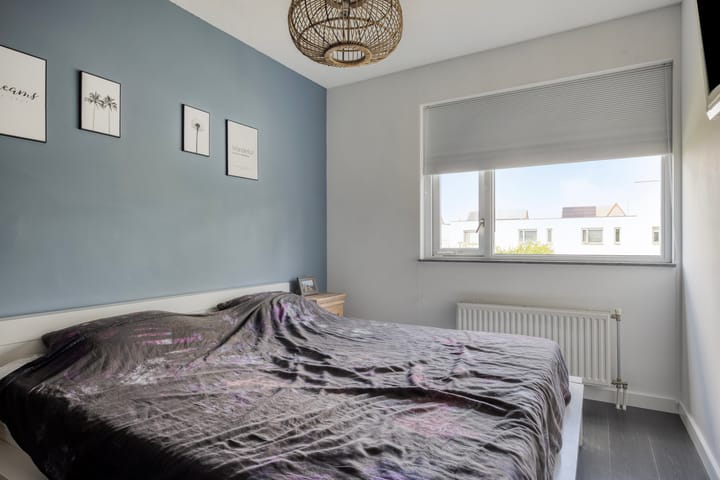 Foto 15 van Zandloopkever 19