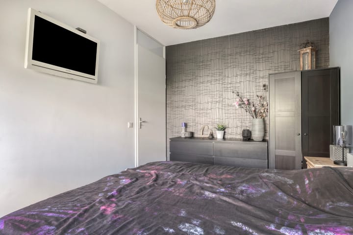 Foto 16 van Zandloopkever 19