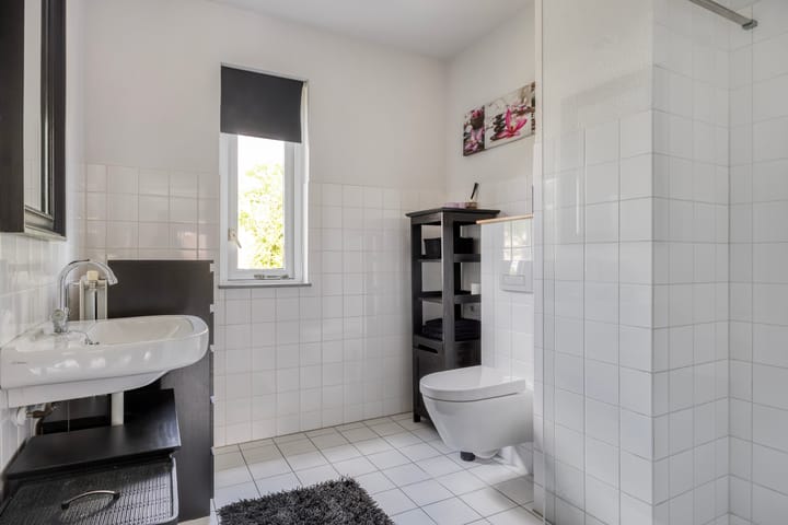 Foto 17 van Zandloopkever 19