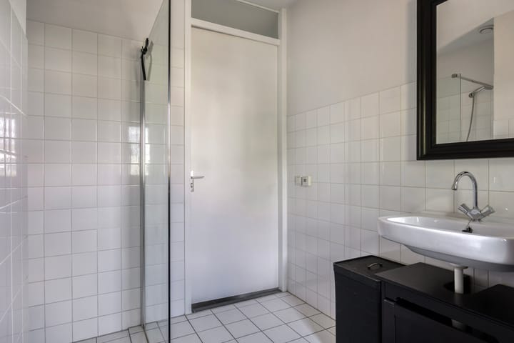 Foto 18 van Zandloopkever 19